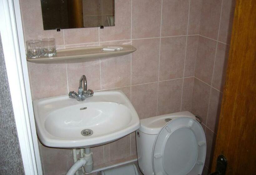 اتاق استاندارد سه نفره, Profspilkovyi