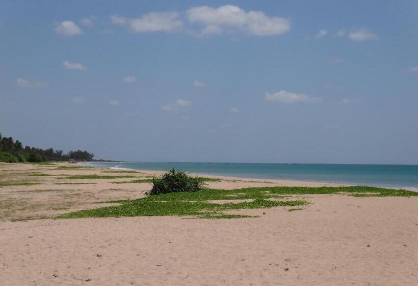 Люкс Семейный 2 Спальни, Nagenahira Beach Villa