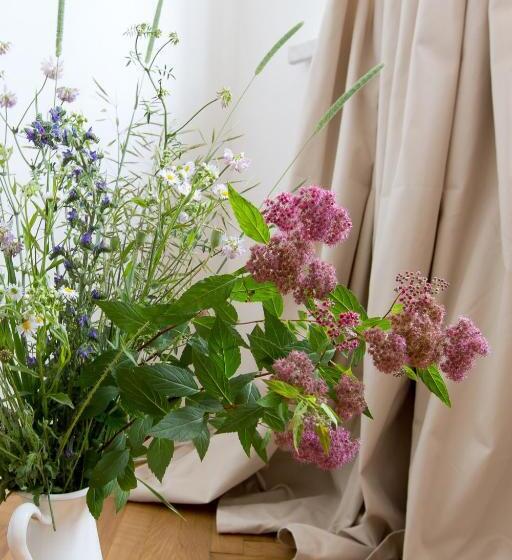 חדר סטנדרט, Bed And Breakfast Placzek