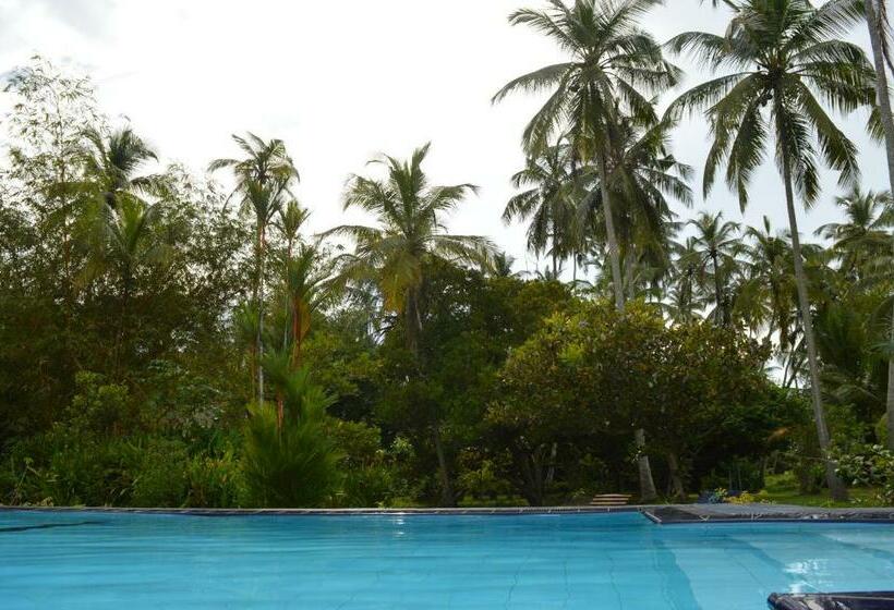 Standardrum Poolutsikt, Zum Deutschen