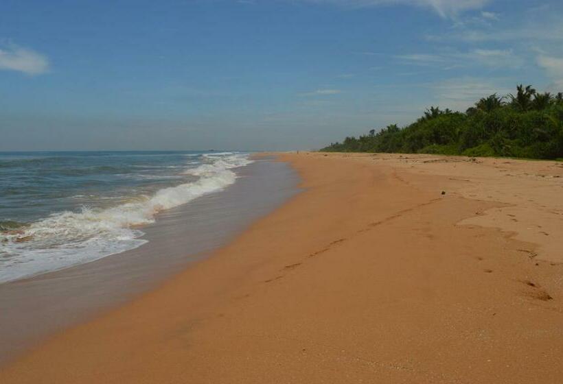 Standardrum Poolutsikt, Zum Deutschen