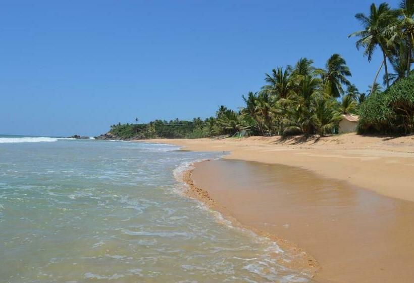 Standardrum Poolutsikt, Zum Deutschen