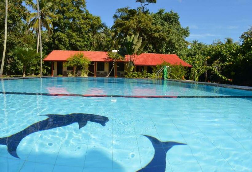 Standardrum Poolutsikt, Zum Deutschen