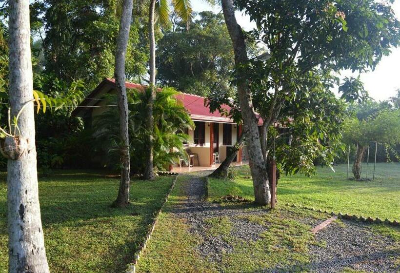 Standardrum Poolutsikt, Zum Deutschen