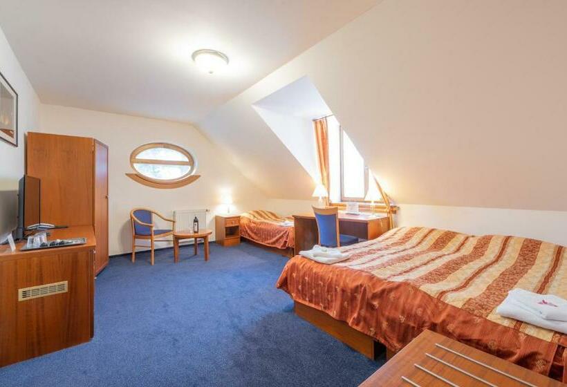 标准三人间, Belcredi