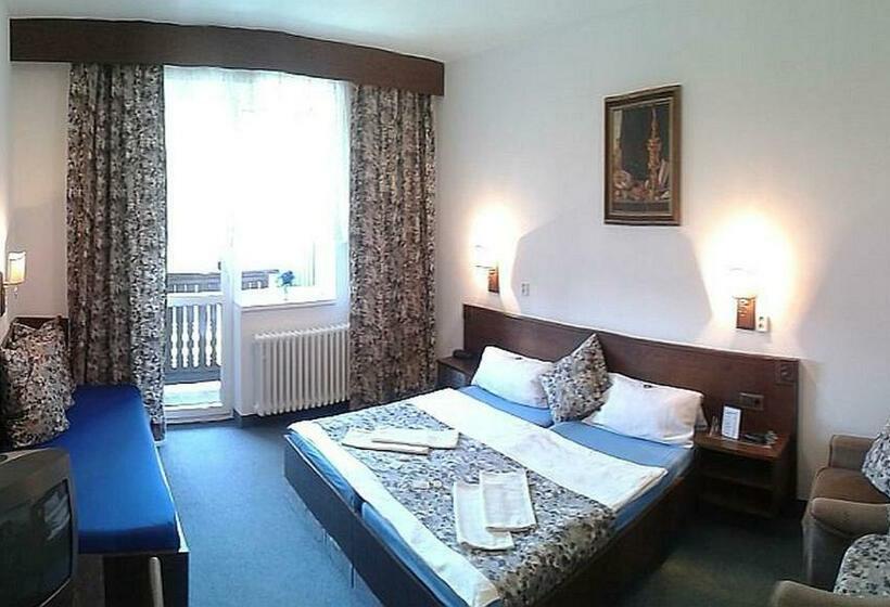 バルコニー付きスタンダードルーム, Pavla Vysočina