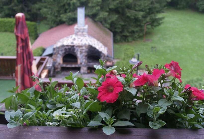 バルコニー付きスタンダードルーム, Pavla Vysočina