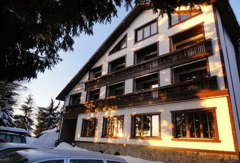 バルコニー付スイート, Pavla Vysočina