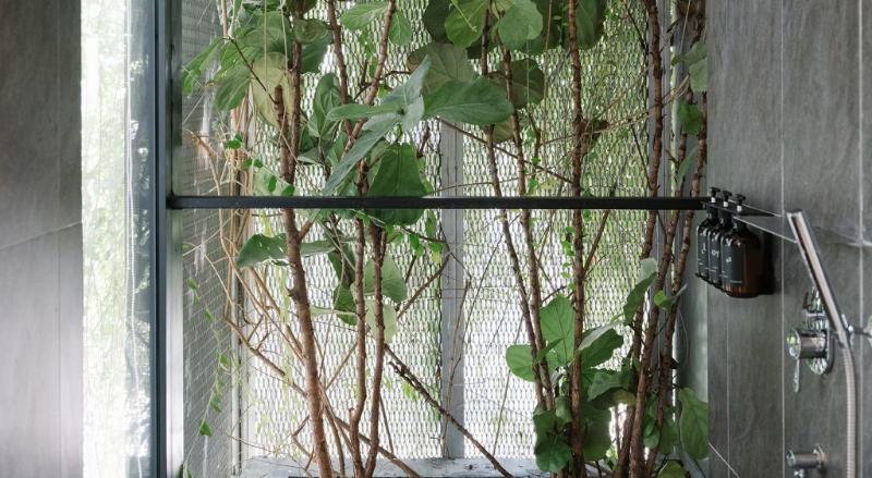 اتاق استاندارد, Lloyd S Inn Kuala Lumpur