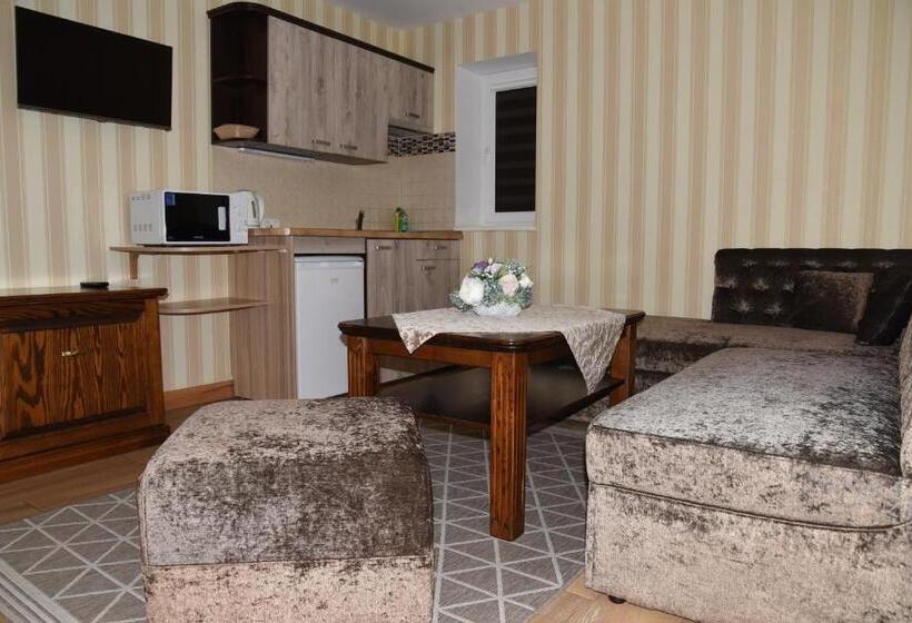 آپارتمان 1 خوابه با تراس, Senoji Palanga