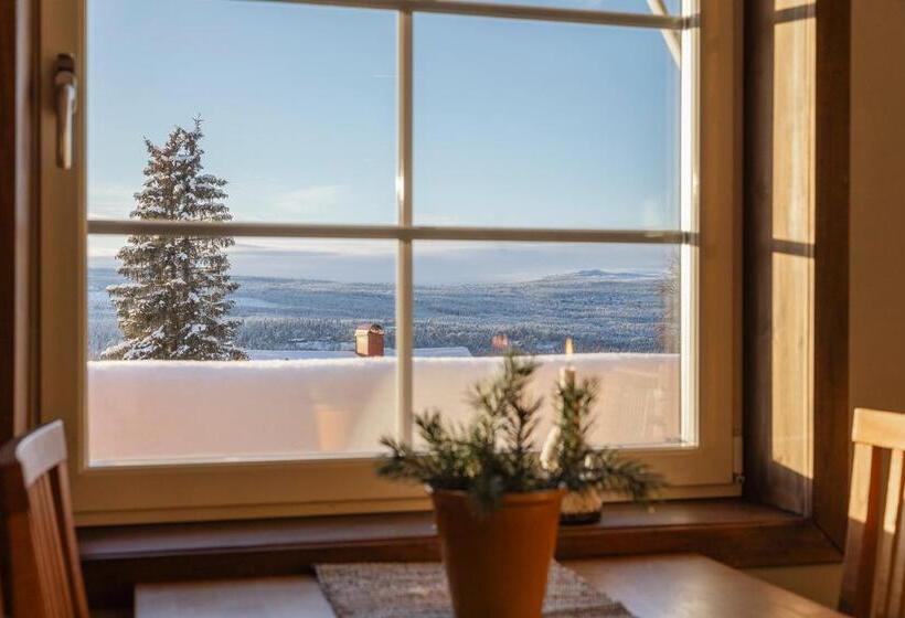 Номер Стандарт Вид на Озеро, Skoogs Logi   Rum