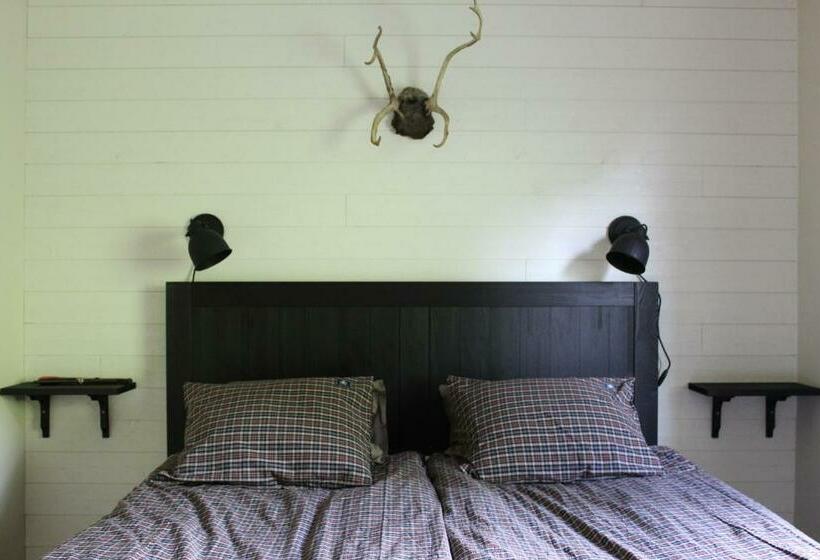 Номер Стандарт, Skoogs Logi   Rum