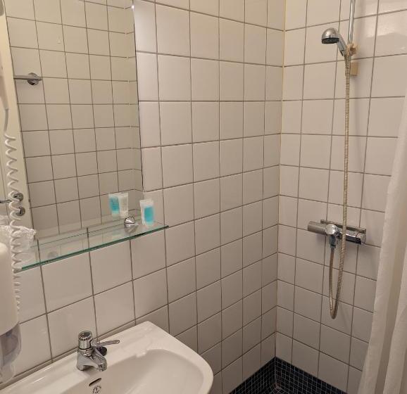 스탠다드 싱글 룸, Grønolen Fjellgard