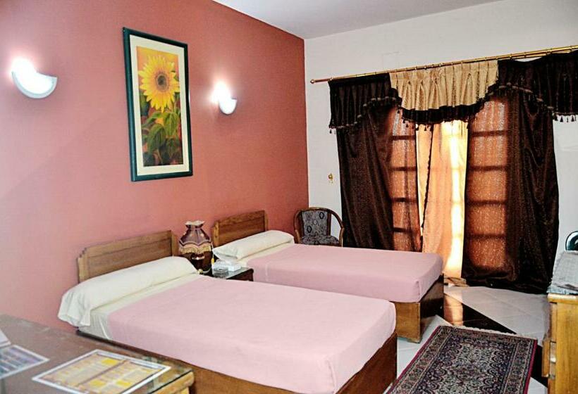 اتاق استاندارد یک نفره, Minya Compound Of The Armed Forces