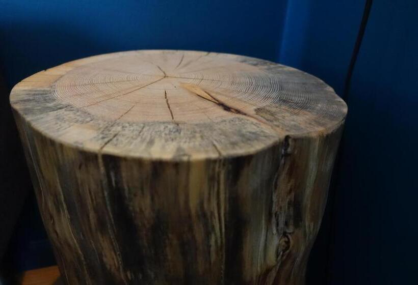 스탠다드 룸, Trolltunga