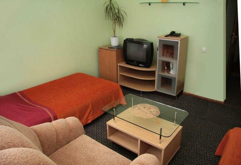 اتاق استاندارد, Turnė