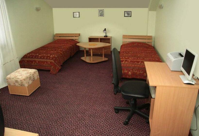 اتاق استاندارد, Turnė