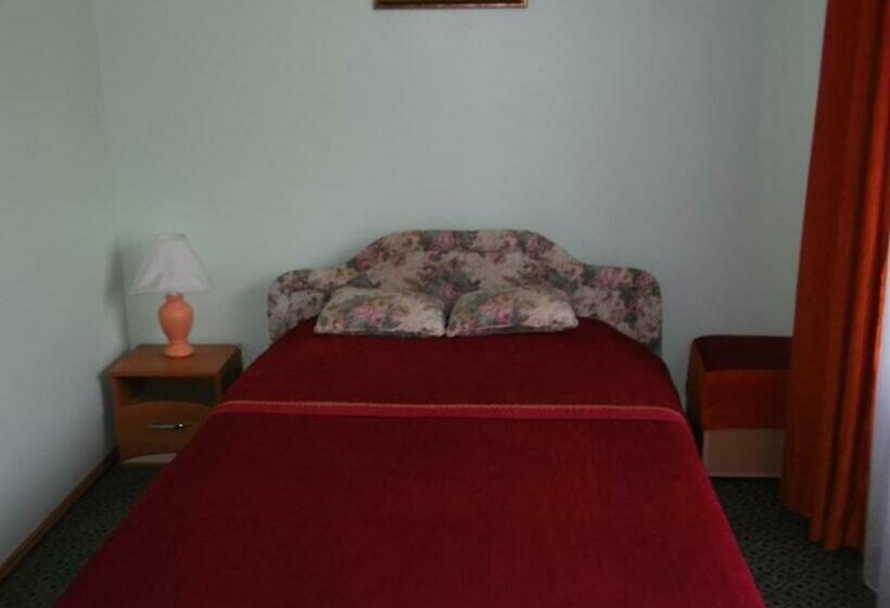 اتاق استاندارد, Turnė