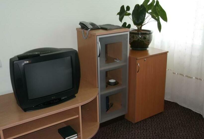 اتاق استاندارد, Turnė