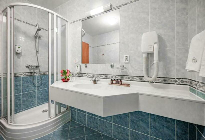 غرفة ديلوكس, U Královny Elišky