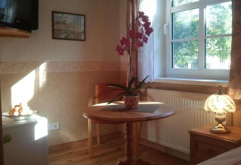 اتاق عادی یک تخته, Villa Johanna Guesthouse