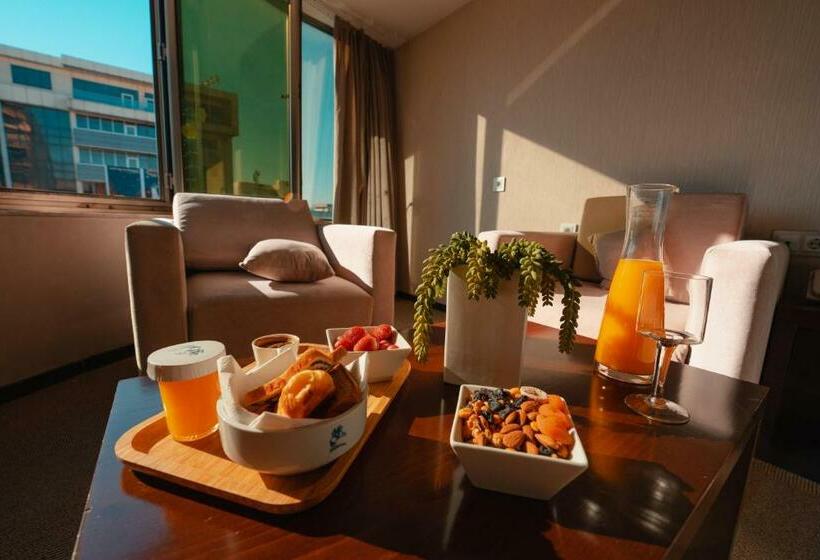 带城市景观的标准间, Mihrako Hotel & Spa