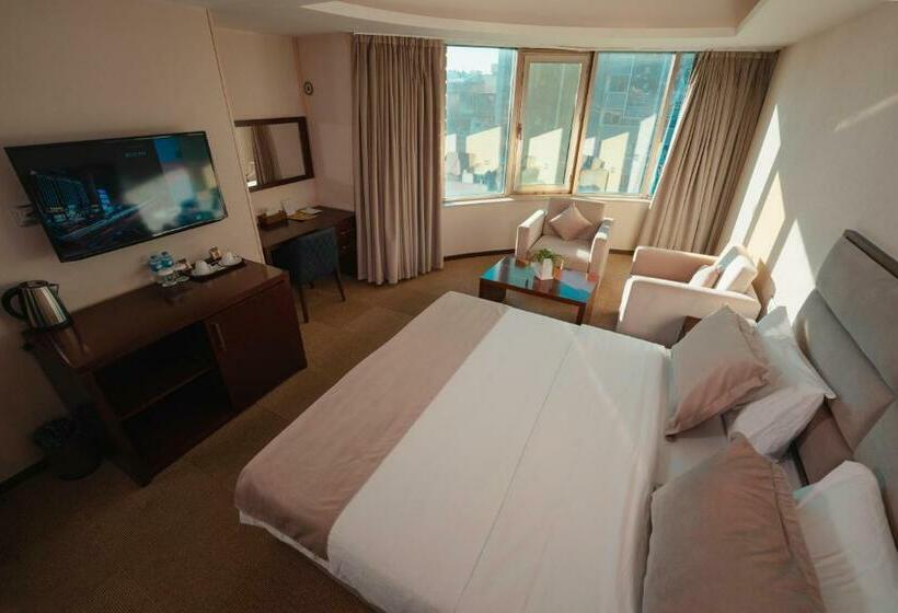 带城市景观的标准间, Mihrako Hotel & Spa