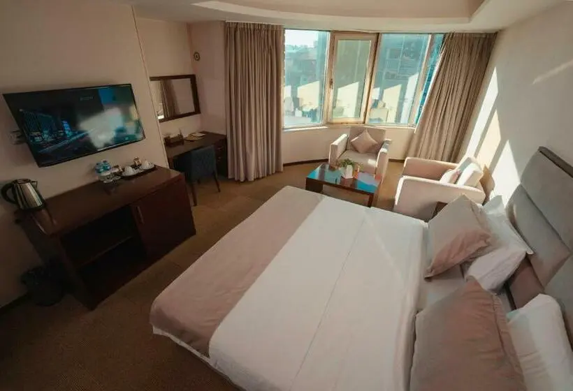 اتاق استاندارد با چشم‌انداز شهر, Mihrako Hotel & Spa