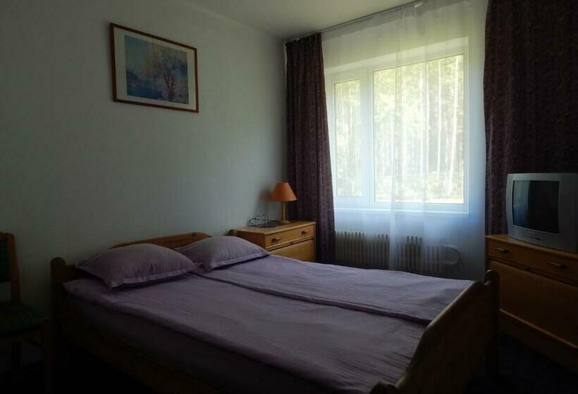 Camera Standard Individuale, Motel Brencis