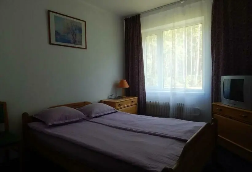 اتاق استاندارد یک نفره, Motel Brencis