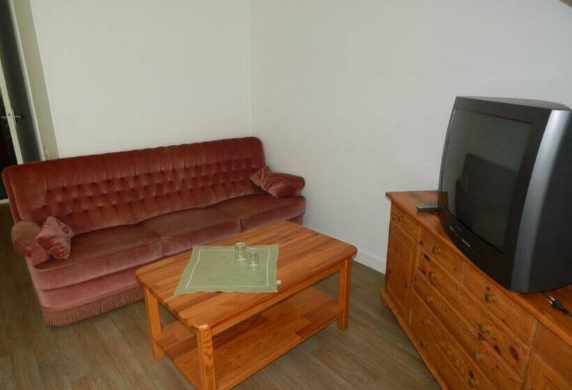 Camera Standard, Motel Brencis