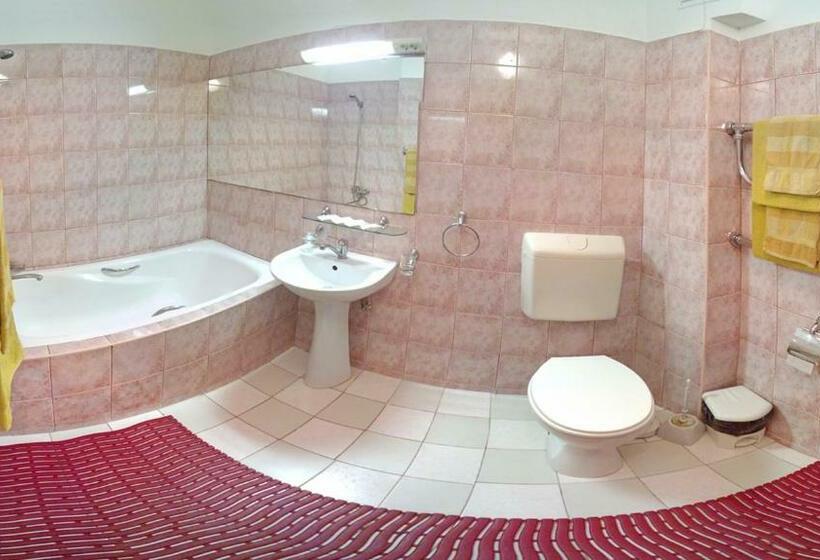 Camera Tripla Standard, Motel Brencis