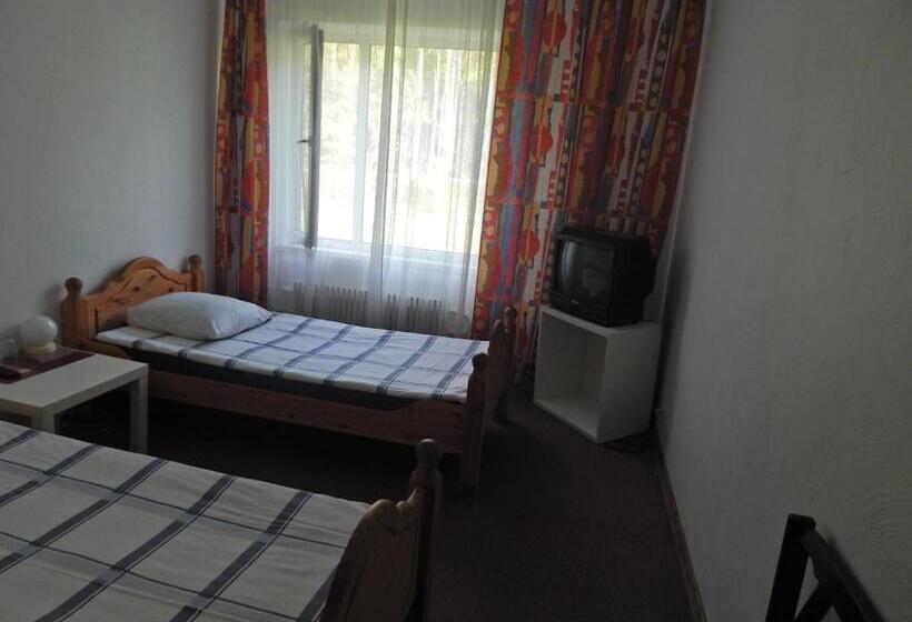 Camera Standard, Motel Brencis