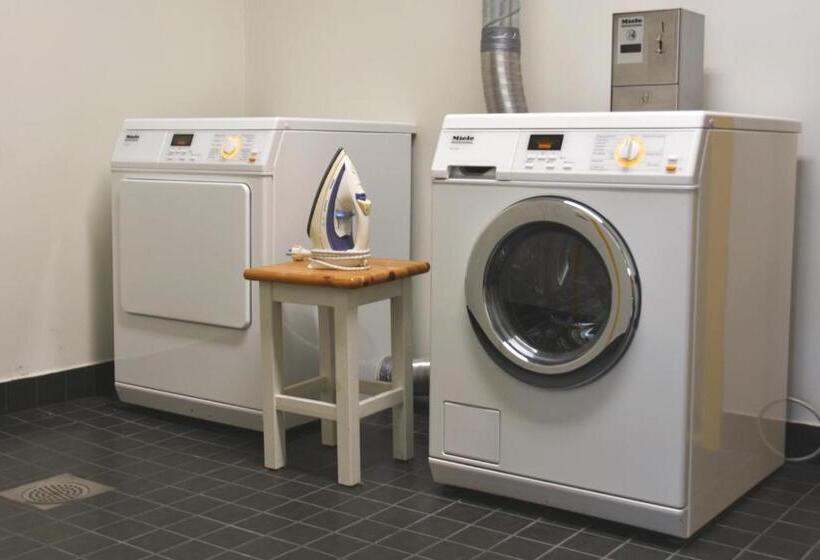 اتاق استاندارد چهارنفره با سرویس بهداشتی مشترک, Saare Automatic Hostel