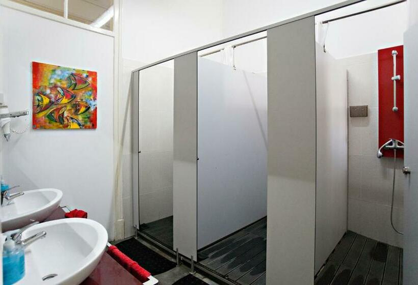 اتاق استاندارد با سرویس بهداشتی مشترک, Baixa Terrace Hostel