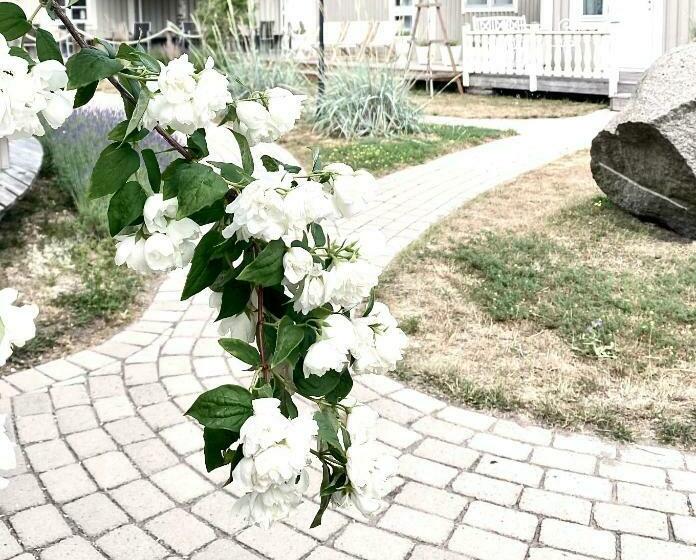 غرفة قياسية, Eco By Strandnära