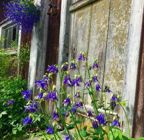 Номер Стандарт, Johanssons Gårdshotell I Roslagen