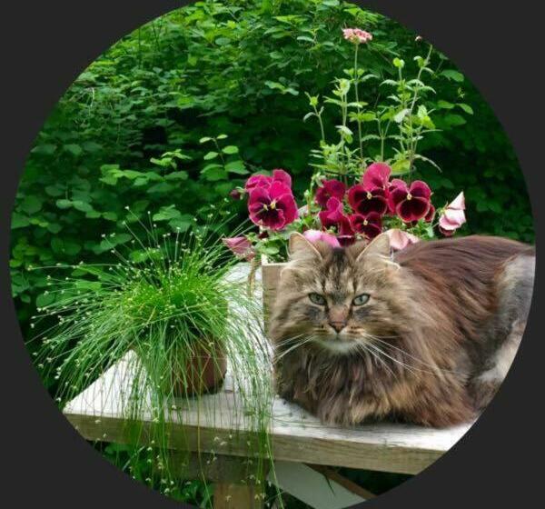 Номер Стандарт, Johanssons Gårdshotell I Roslagen