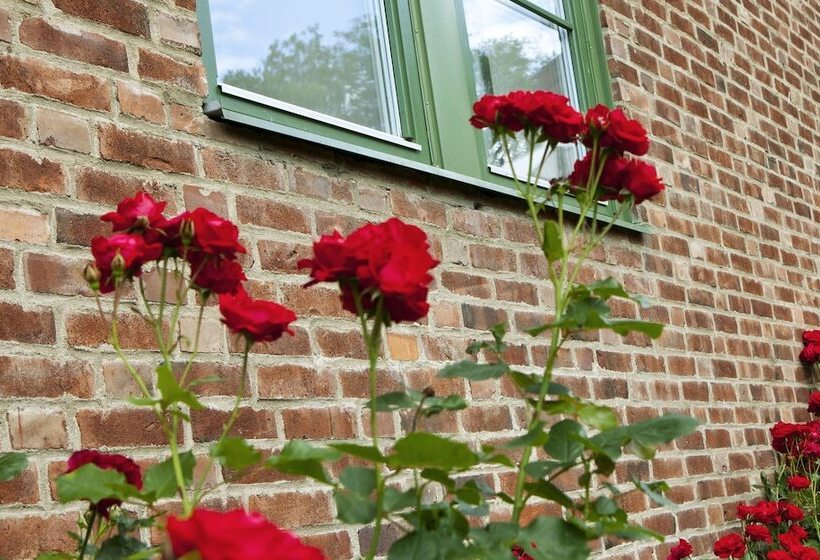 스탠다드 트리픔 룸 공동욕실, Kvibergs Vandrarhem   Hostel