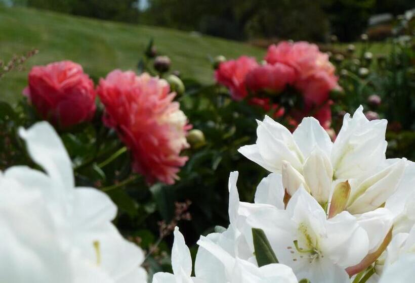 디럭스 스튜디오, L'abri Bed And Breakfast
