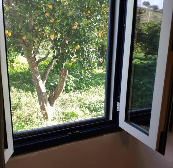 스탠다드 룸, Casa Da Tia Amalia