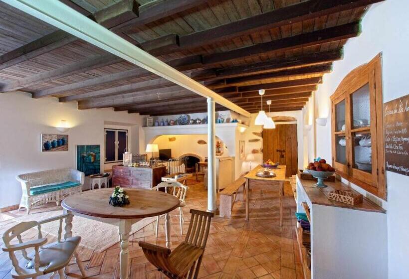 패밀리 스튜디오, Casa Da Tia Amalia