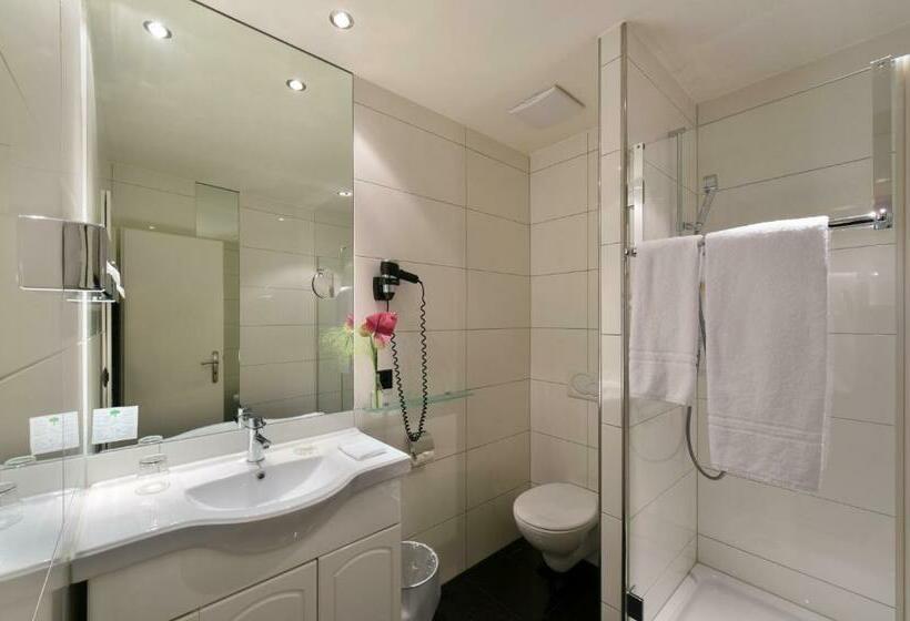 غرفة قياسية, Apart Hotel Amadeo