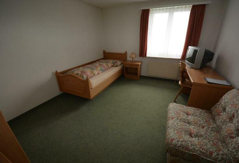 エコノミーシングルルーム, Aparthotel Edy Bruggmann Ag