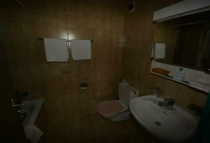 Standard Room with Balcony, Aparthotel Edy Bruggmann Ag