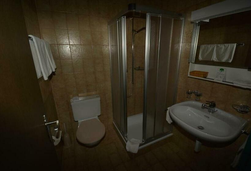 اتاق استاندارد با بالکن, Aparthotel Edy Bruggmann Ag