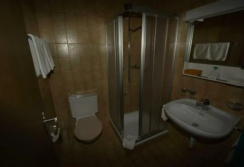Standard Room with Balcony, Aparthotel Edy Bruggmann Ag