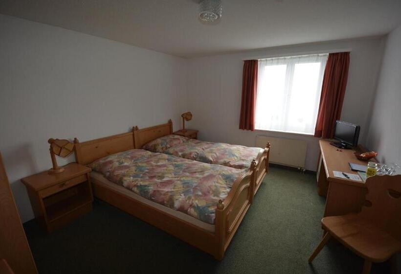 اتاق استاندارد, Aparthotel Edy Bruggmann Ag