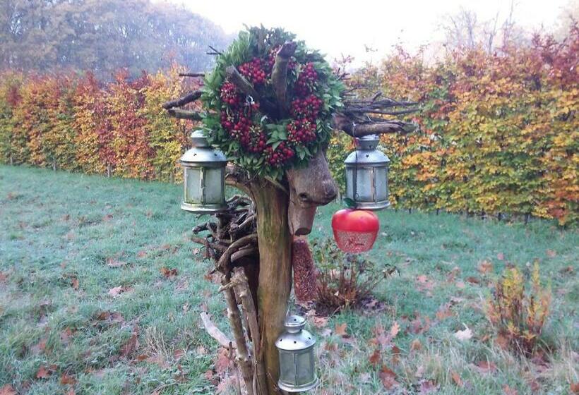 スタンダードルーム, Regina Vught