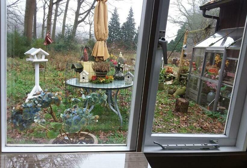 スタンダードルーム, Regina Vught